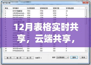 揭秘云端共享科技產(chǎn)品，十二月實時表格共享重塑工作效率與生活品質(zhì)！
