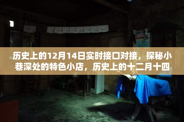 探秘歷史接口對接傳奇，十二月十四日實時對接與小巷深處的特色小店揭秘
