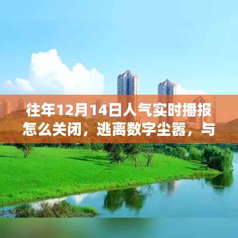 如何關(guān)閉人氣實(shí)時(shí)播報(bào)，尋找自然美景之旅，逃離數(shù)字塵囂的指南