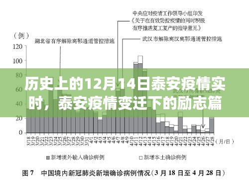 泰安疫情變遷下的勵(lì)志篇章，學(xué)習(xí)之光照亮未來之路的抗疫歷程