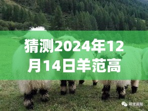 探秘羊范高速之旅，預(yù)測(cè)明日路況，啟程尋找寧?kù)o港灣的實(shí)時(shí)路況展望（XXXX年XX月XX日）