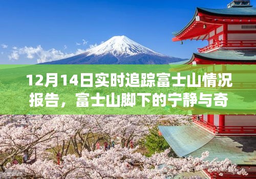 富士山實(shí)時追蹤報告，與自然共舞，探尋寧靜與奇跡的旅程