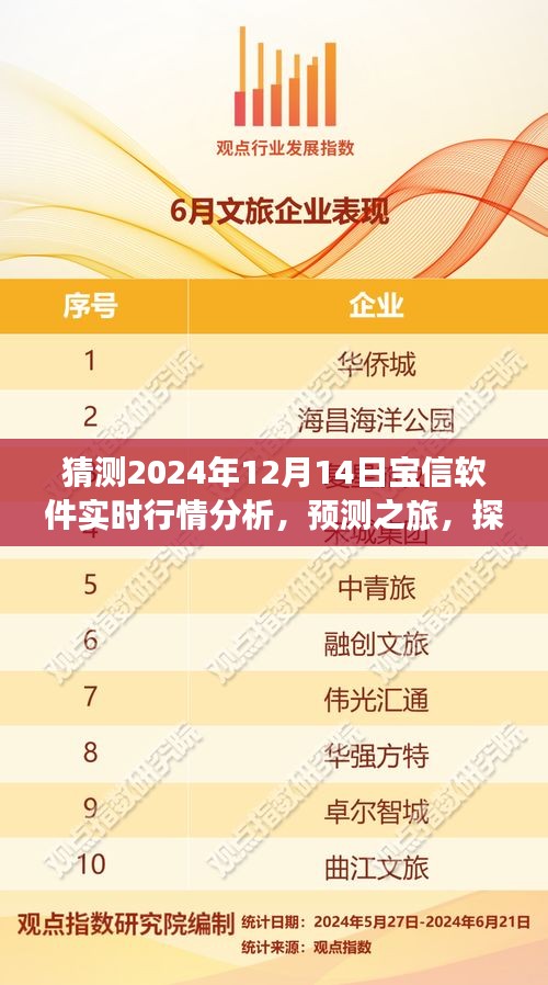 探索寶信軟件未來行情，預測之旅，分析寶信軟件在2024年12月14日的實時行情