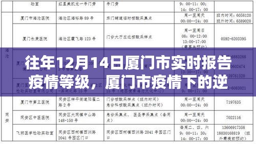 廈門市疫情逆襲之路，學習之光照亮前行之路的實時報告