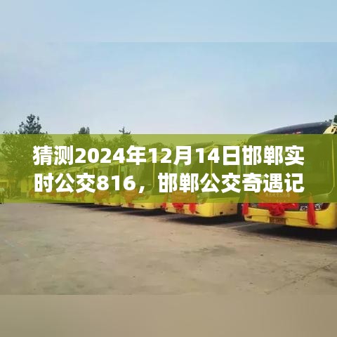 邯鄲公交奇遇記，揭秘與公交816的不解之緣，預(yù)測(cè)2024年12月14日實(shí)時(shí)動(dòng)態(tài)