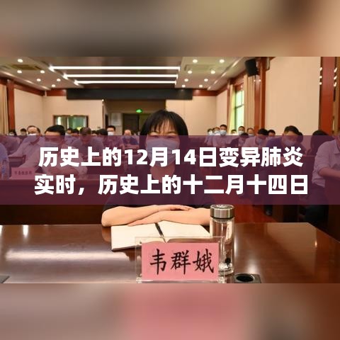 歷史上的十二月十四日，變異肺炎背后的勵(lì)志故事與成長(zhǎng)力量實(shí)時(shí)追蹤