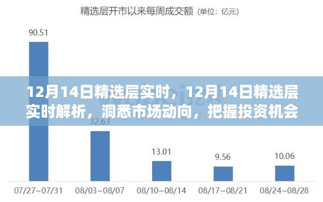12月14日精選層實時解析，洞悉市場脈動，精準(zhǔn)把握投資機會