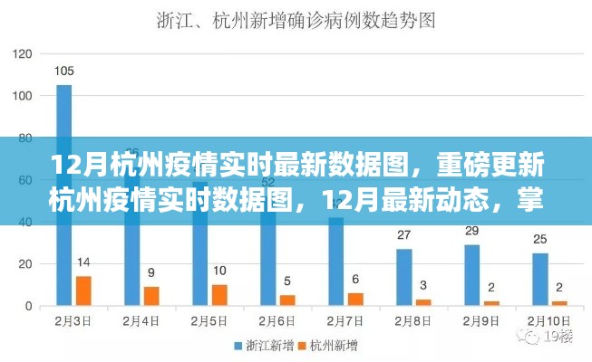 12月杭州疫情實(shí)時(shí)數(shù)據(jù)圖更新，掌握最新動(dòng)態(tài)，共筑健康防線
