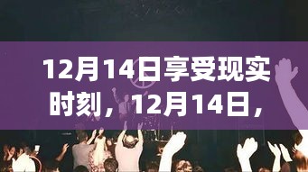12月14日，與自然共舞，尋找內心平靜的奇妙之旅