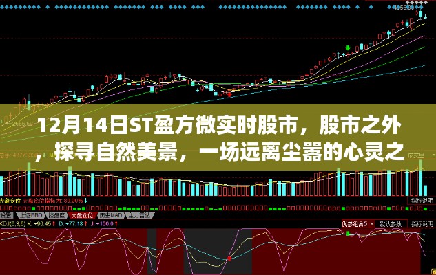 ST盈方微股市輕語，探尋自然美景的心靈之旅，啟程于股市之外