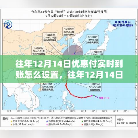 往年12月14日優(yōu)惠支付實時到賬設置詳解及探討