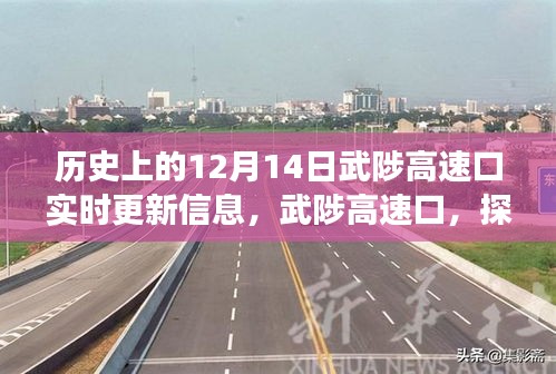 武陟高速口，探尋自然美景的啟程之地，揭秘歷史與未來，奇妙旅程盡在12月14日