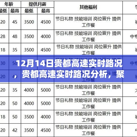 貴都高速實(shí)時(shí)路況聚焦，12月14日路況分析與各方觀點(diǎn)
