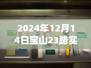 探秘寶山23路，巷弄深處的特色小店，驚喜之旅（實時動態(tài)，2024年12月14日）