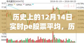 探尋PE股票背后的自然秘境之旅，歷史上的12月14日實時平均數(shù)據(jù)解析