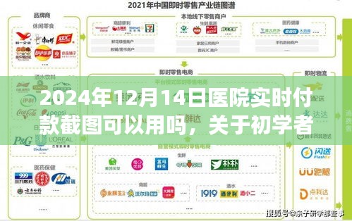 醫(yī)院實時付款截圖功能使用指南，初學者與進階用戶步驟詳解（2024年）