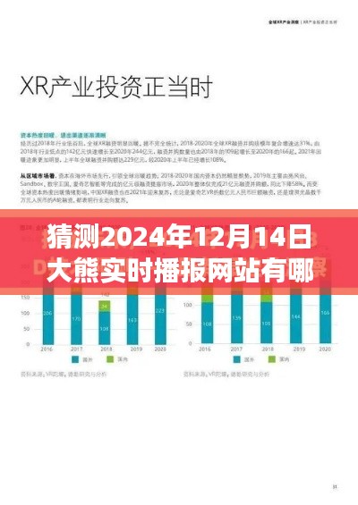 預(yù)測(cè)未來(lái)，探索大熊實(shí)時(shí)播報(bào)網(wǎng)站在2024年12月14日的形態(tài)