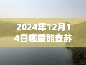 2024年蘇州實(shí)時(shí)公交指南，探秘自然美景與尋找心靈驛站