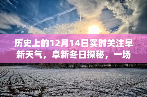 阜新冬日探秘，實(shí)時(shí)天氣關(guān)注與自然的邂逅之旅，尋找內(nèi)心寧靜的冬日體驗(yàn)