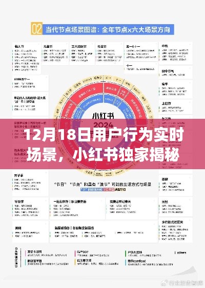 小紅書獨家揭秘，12月18日用戶行為實時場景全解析與洞察