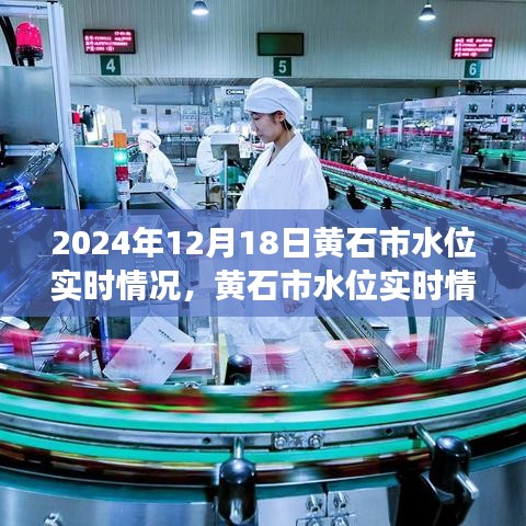 黃石市水位實時觀察與分析報告，聚焦黃石市水位實時情況觀察與觀點（2024年12月18日）
