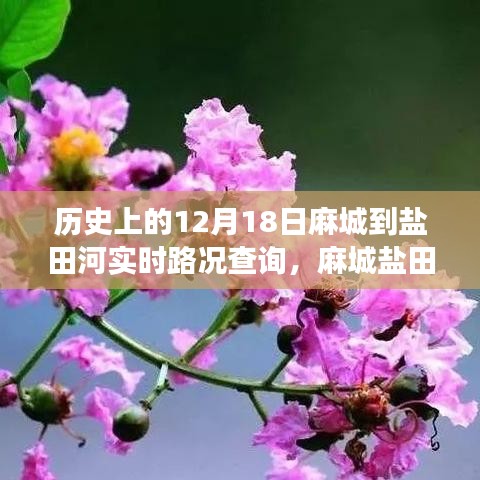 麻城鹽田河，一條路上的故事與溫情——實(shí)時(shí)路況查詢記錄