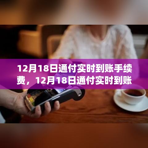 12月18日通付實(shí)時(shí)到賬手續(xù)費(fèi)調(diào)整解析，新政策費(fèi)用標(biāo)準(zhǔn)及其影響
