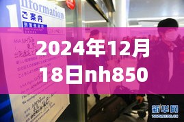 探秘隱藏美食與NH航班背后的故事，NH航班實時動態(tài)與小巷深處的獨特魅力