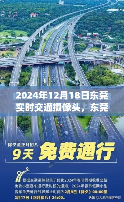 冰肌玉骨 第5頁