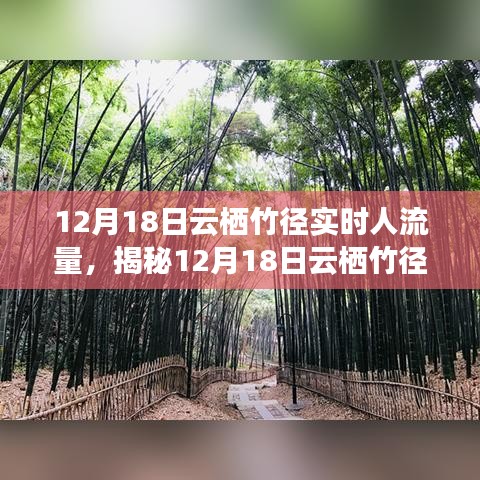 揭秘，云棲竹徑在12月18日的實(shí)時(shí)人流量深度解析與洞察報(bào)告