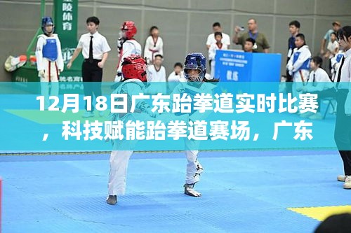 科技賦能跆拳道賽場，廣東跆拳道實時比賽智能體驗日紀實