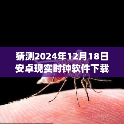 時(shí)光之窗，安卓時(shí)鐘軟件奇妙下載之旅，預(yù)測(cè)下載量飆升于2024年12月18日！
