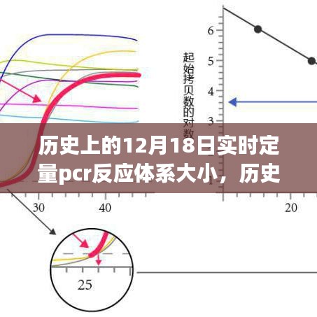 探討歷史上的實(shí)時定量PCR反應(yīng)體系大小演變及其影響在十二月十八日的研究歷程