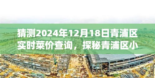 探秘青浦區(qū)菜價(jià)秘境，2024年12月18日菜價(jià)預(yù)測與實(shí)時(shí)查詢之旅