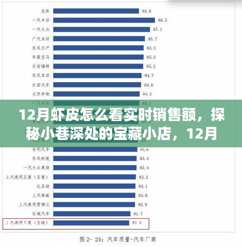 探秘寶藏小店，揭秘十二月蝦皮實(shí)時(shí)銷售額背后的故事