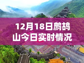 鷓鴣山今日實(shí)時(shí)情況，特色小店帶你領(lǐng)略別樣冬日風(fēng)情，驚喜藏于深山之中