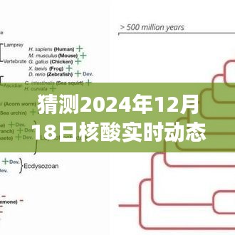 揭秘未來之旅，核酸實(shí)時(shí)動態(tài)與心靈自然美景的奇妙邂逅（預(yù)測日期為2024年12月18日）