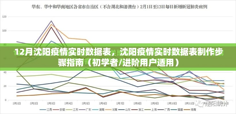 沈陽疫情實時數(shù)據(jù)表制作指南，初學者與進階用戶適用