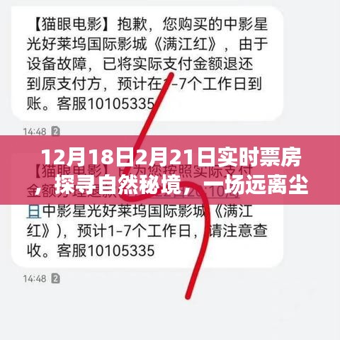 探尋自然秘境的心靈之旅，揭秘實(shí)時(shí)票房熱議背后的故事