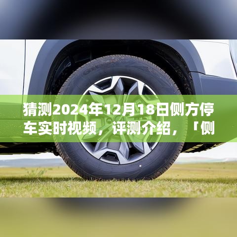 側(cè)方停車技術(shù)展望，2024年的停車體驗革新實時視頻評測介紹