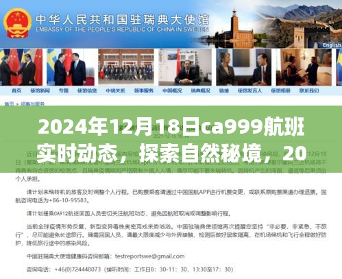 探索自然秘境，揭秘CA999航班實(shí)時(shí)動(dòng)態(tài)與奇妙之旅