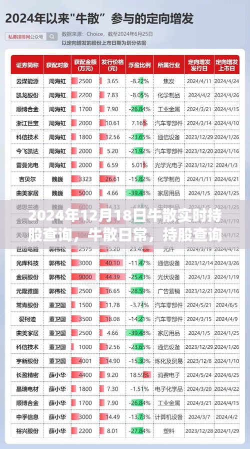 牛散日常揭秘，持股查詢背后的溫情故事與牛散實(shí)時(shí)動(dòng)態(tài)追蹤（2024年12月18日）