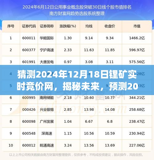 揭秘未來(lái)鋰礦市場(chǎng)，實(shí)時(shí)競(jìng)價(jià)網(wǎng)展望至2024年12月18日