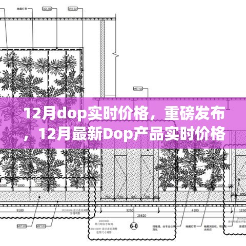 重磅發(fā)布，領(lǐng)略科技魅力，體驗未來生活——揭秘十二月最新Dop產(chǎn)品實時價格指南