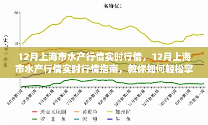 掌握上海水產(chǎn)市場(chǎng)脈搏，12月實(shí)時(shí)行情指南