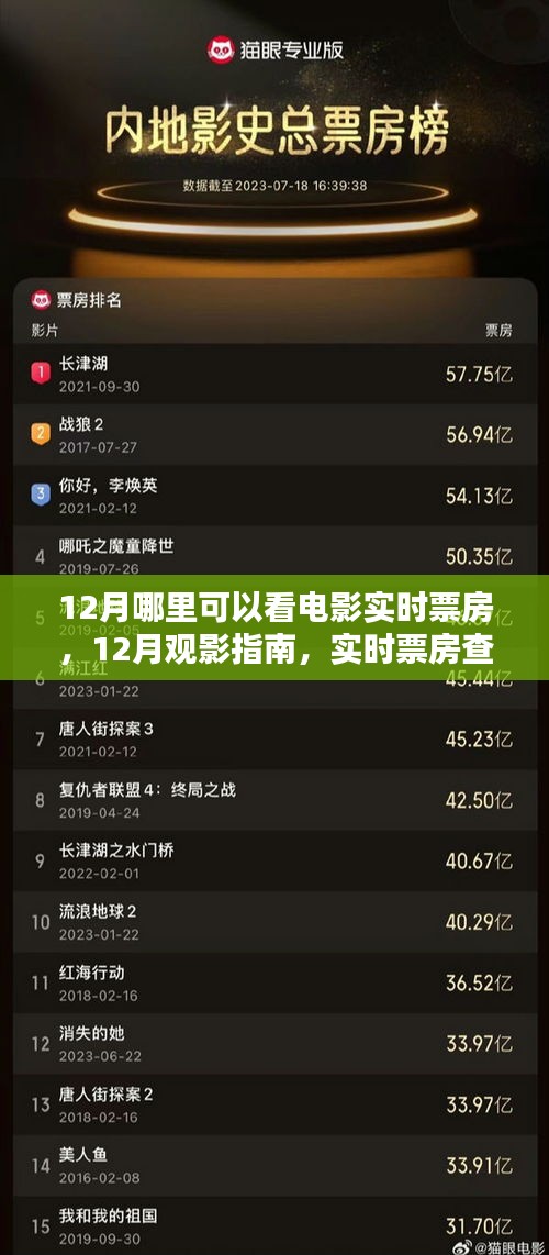 12月觀影指南，實(shí)時(shí)票房查詢?nèi)ヂ耘c電影熱門推薦