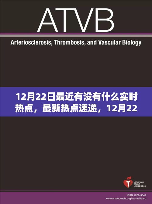 12月22日實(shí)時熱點(diǎn)速遞，火熱話題一覽