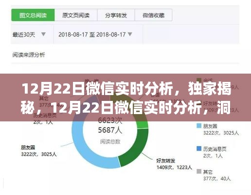 獨(dú)家揭秘，微信實(shí)時(shí)分析洞察社交趨勢(shì)，12月22日數(shù)據(jù)深度解讀