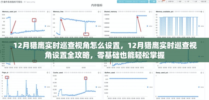 12月獵鷹實(shí)時(shí)巡查視角設(shè)置攻略，零基礎(chǔ)也能輕松掌握