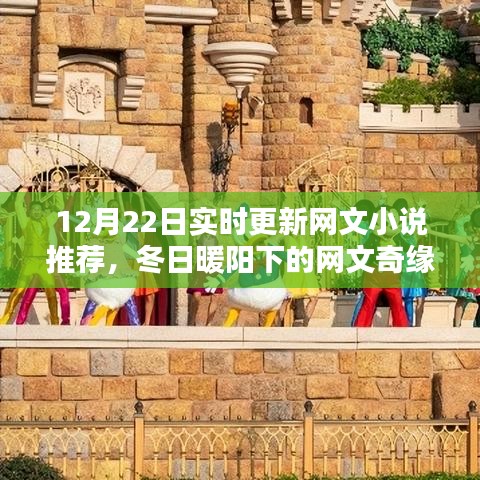 冬日暖陽下的溫馨網(wǎng)文奇緣，實時更新小說推薦